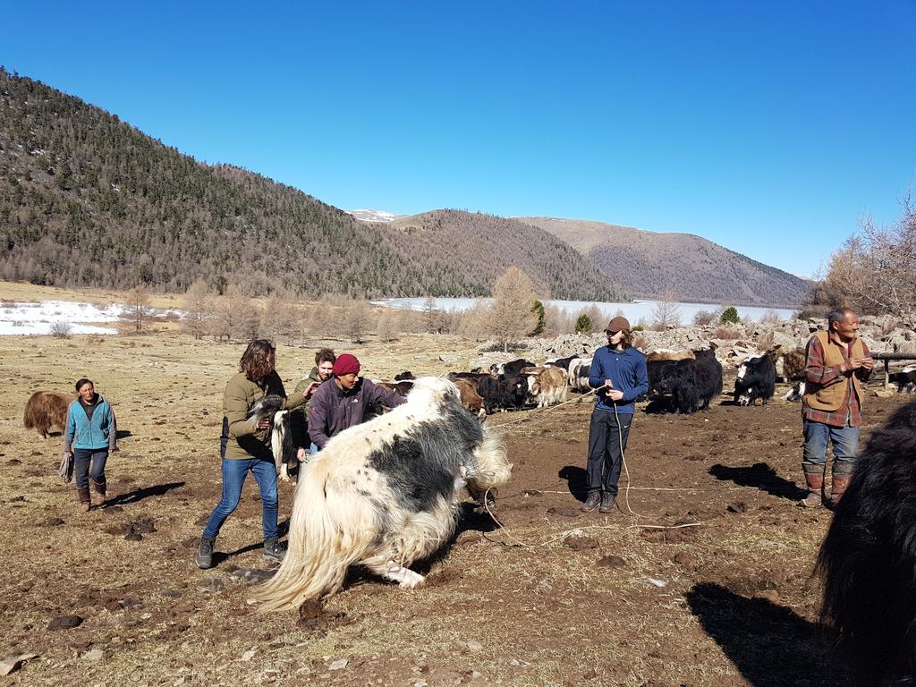 Vast Mongolia Tour & Hostel Улан-Батор Екстер'єр фото